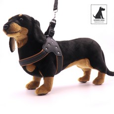 찰리스백야드하네스