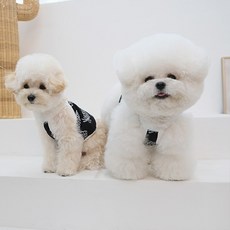 베베브레스