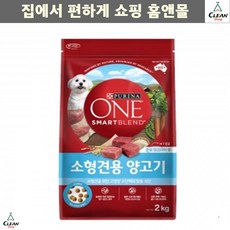 앤츄홈