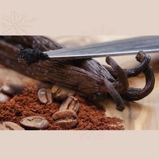 A등급 최상급 파푸아뉴기니 타히티종 바닐라빈 25g, 1개, 200g - 이미지 2
