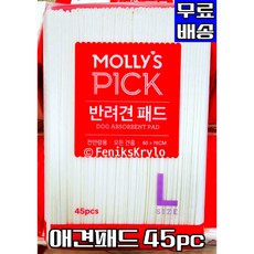 페스룸배변패드