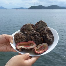 싱싱햇 통영 거제도 멍게 돌멍게 활멍게, 1세트, 1kg, 1kg 6-10미