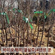 //상품명