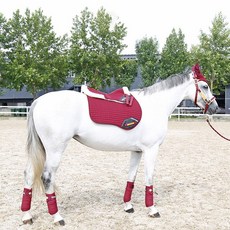 독마장비 승마용품 말안장 럭셔리 세트 고삐 로프 귀마개 레깅스 양모 패드 패드, 빨간색