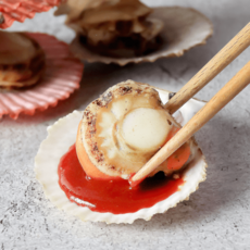 대한민국농수산가리비