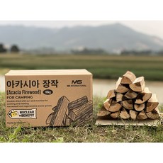 장작 TOP01