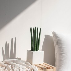 f6e07bc9a01695c35b0b44d13b8d9e3a7865ed8f2a307f6c8b1b1c2850c0.jpg