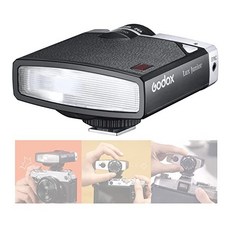 고독스룩스주니어