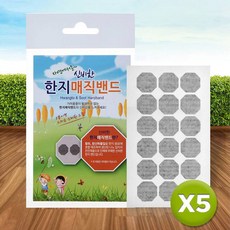 한지패치
