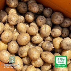 [제주푸드마씸] 제주오가닉스 유기농 알감자 10kg (제주산 실중량), 1개