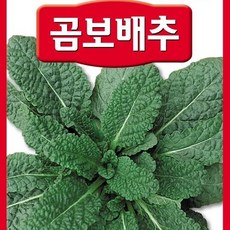 곰보종