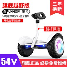 전동이륜평행차