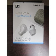 젠하이저모멘텀트루와이어리스3