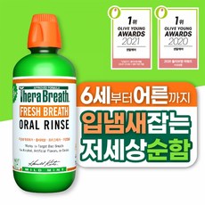 테라브레스 구강청결제 마일드민트, 473ml, 1개