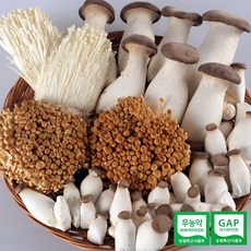 호산목장 버섯혼합세트 1호(새송이+갈색팽이+팽이), 1개