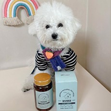 눈물자국개선 눈물냄새관리 애견눈영양제 추천 노견용