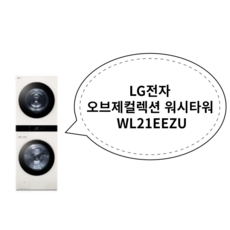 LG전자 오브제컬렉션 워시타워 WL21EEZU 베이지 + 베이지, 상세페이지 참조