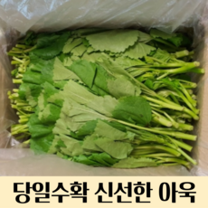 산지직송 국내산 아욱 2kg 4kg 국내산아욱 아욱 아욱국 제철아욱, 2kg(아욱), 1개
