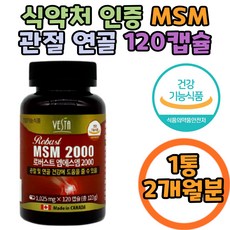 어르신신체활동