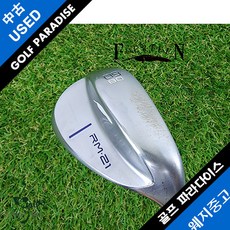 포틴rm21