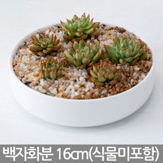뒤주책상