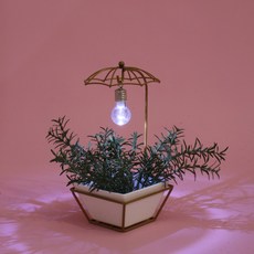 무선스탠드식물등