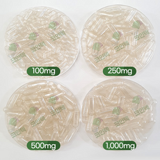 코인텍 투명 식물성 공캡슐100mg 500개1팩, 1정, 500개