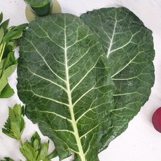 라파농원