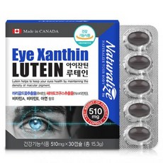 빌메루 빌베리 아스타진틴 루테인