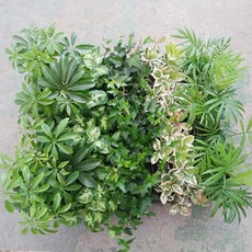 64cca7f9a09eb1f0d19ea42f421682d0d92231a1f8b01319e5c216548ab5.jpg