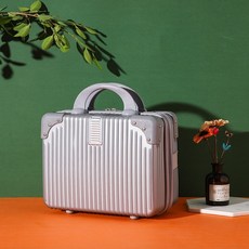 수트케이스기내보관