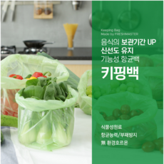 프레시백
