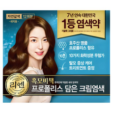 리엔 흑모비책 프로폴리스 담은 크림 염색제 새치용 12회분, 자연갈색, 11개