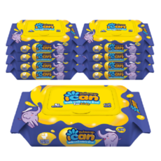 아이캔트레이닝비데물티슈