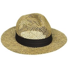 페도라co플러스