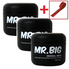 미스터히터빅버디