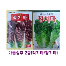 가을상추