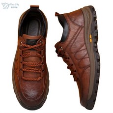 캠프라인아이젠