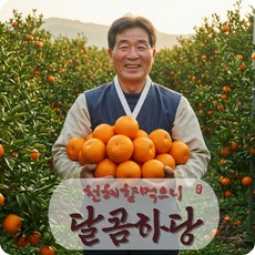[백화점납품-포장가방증정] 제주 천혜향농장 13brix 명절선물 설선물 선물포장 가정용 천혜향 농사외길 내륙첫배송, 1박스, 선물용 5kg 특대과