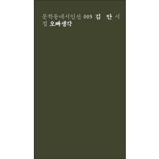 오빠생각 (일반판) (문학동네시인선 9), 김안, 문학동네