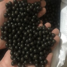 초등학생여름방학캠프