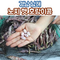 국산 햇 호랑이콩 강낭콩 1kg 3kg 5kg, 급냉호랑이콩_깐콩_1kg, 1개