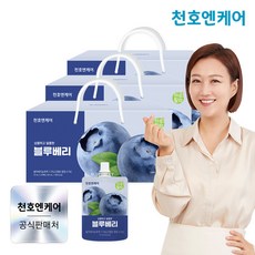 [천호엔케어] 하루활력 상큼달콤 블루베리즙 70ml 30팩 3박스/블루베리주스