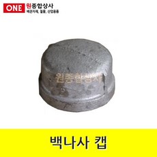 t애자앵글