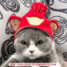 고양이 강아지 모자 토끼귀 생일축하모자 루돌프, 구리 동전_S