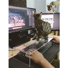 고양이 키보드 아크릴커버 덮개 보호 고양이 키보드, 길이 45 너비 17 높이 10 cm, 맞춤 제작 불가, 두께 0.5 cm