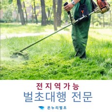 산소벌초대행인원배치 벌초대행전문업체 벌초전문가 벌초인력파견 성모별초도우미 제사대행 벌초인력의뢰 예초도우미 제초작업가능 선산묘지관리대행 벌초전문용역 묘소관리