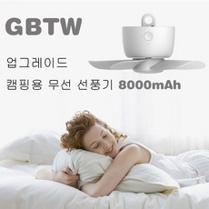 gbtw선풍기