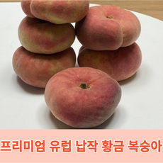 유럽납작복숭아 1kg 황금납작복숭아 국산 대극천아닌, 1개