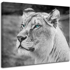 라이오플라이어멜로디